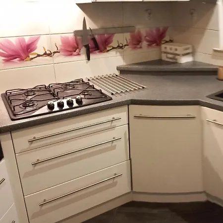 Mieszkanie 3 Pokojowe Park Chopina سفينويتشي