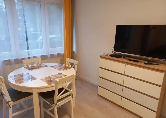 شقة Mieszkanie 3 Pokojowe Park Chopina سفينويتشي