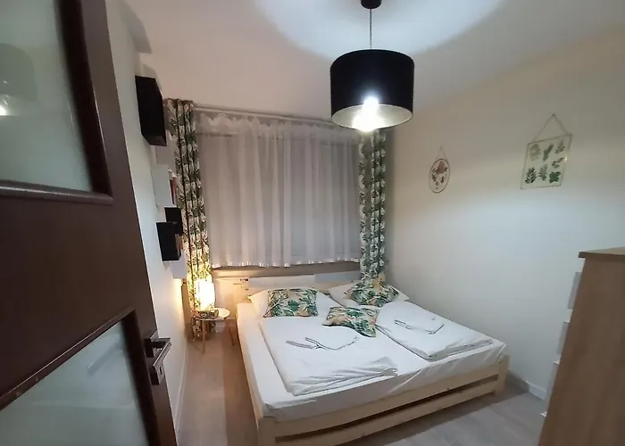 Mieszkanie 3 Pokojowe Park Chopina *